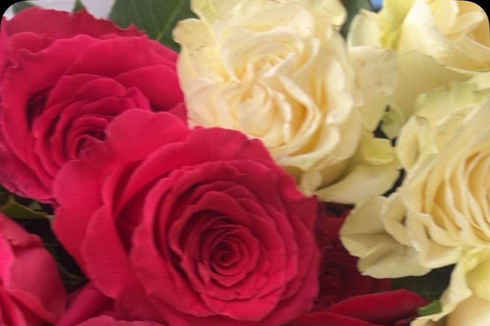 Annapolis Flowers and Events