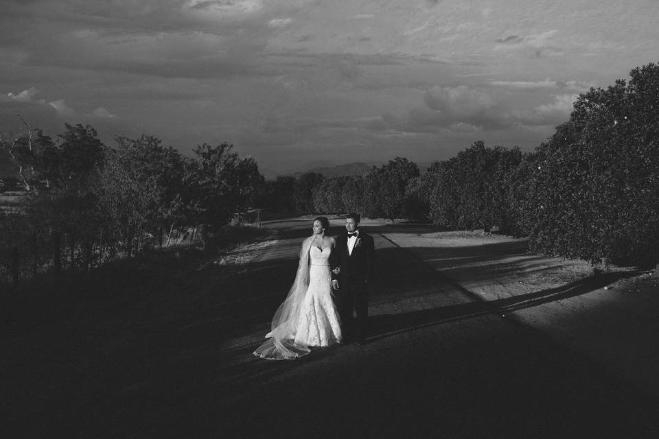 Couple holding hands