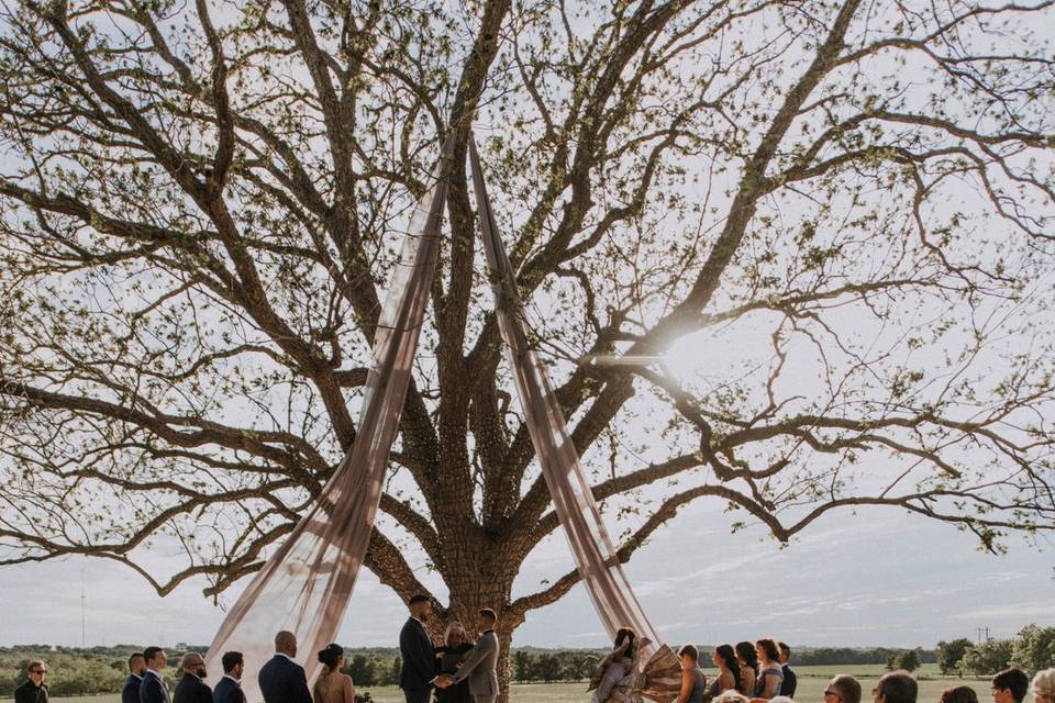 Steven & Fabian's Wedding