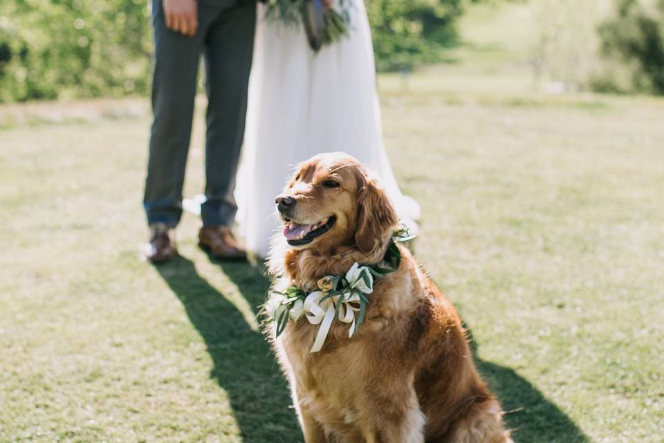 Couple and a dog