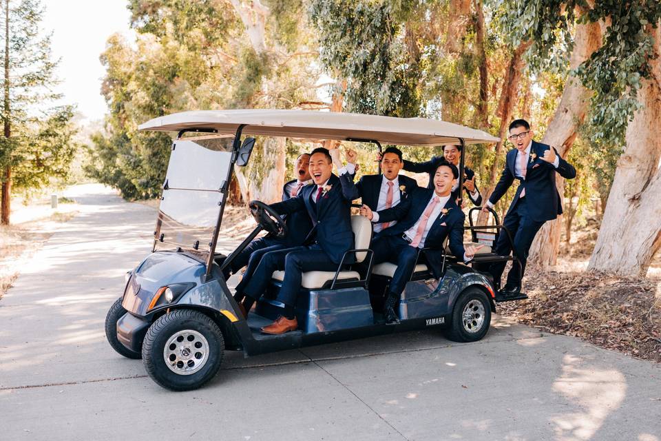 Limo Cart