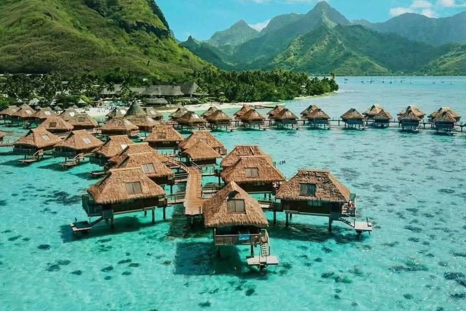 Luxury in LOVE