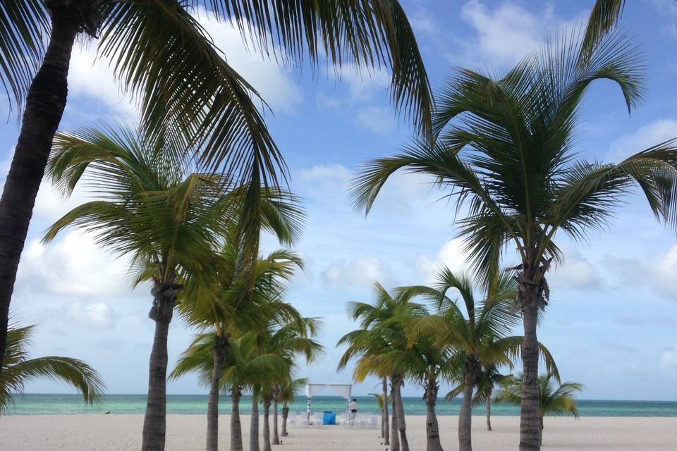 Plan it in paradise