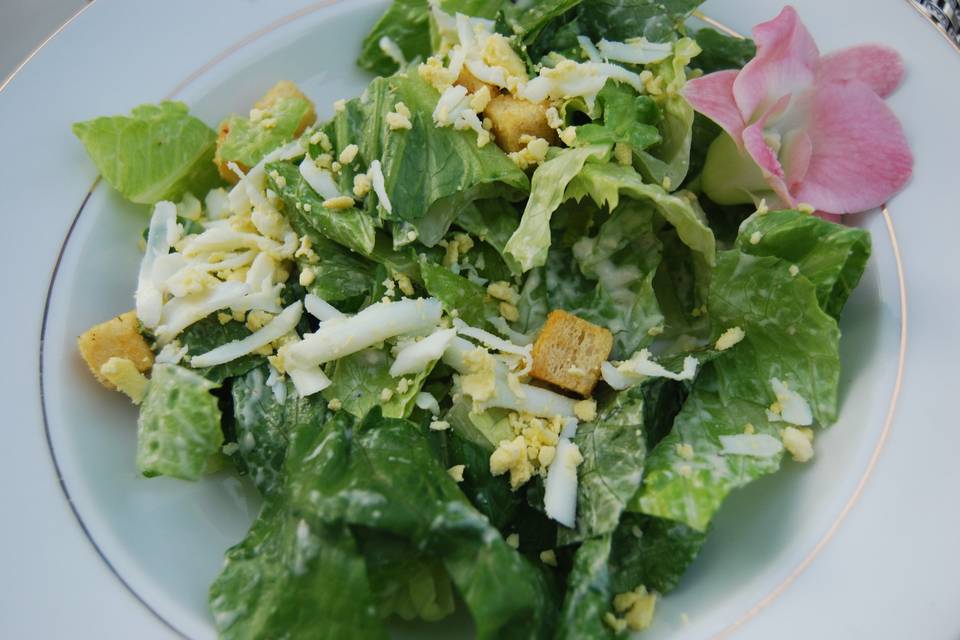 Sit Down Caesar Salad