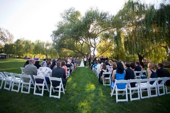 Little Blue Box Weddings