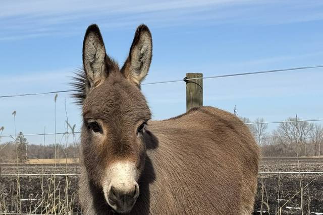 Kyle La Mere Weddings