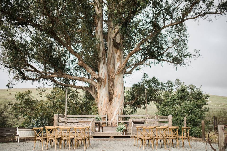 Outdoor wedding ceremony area