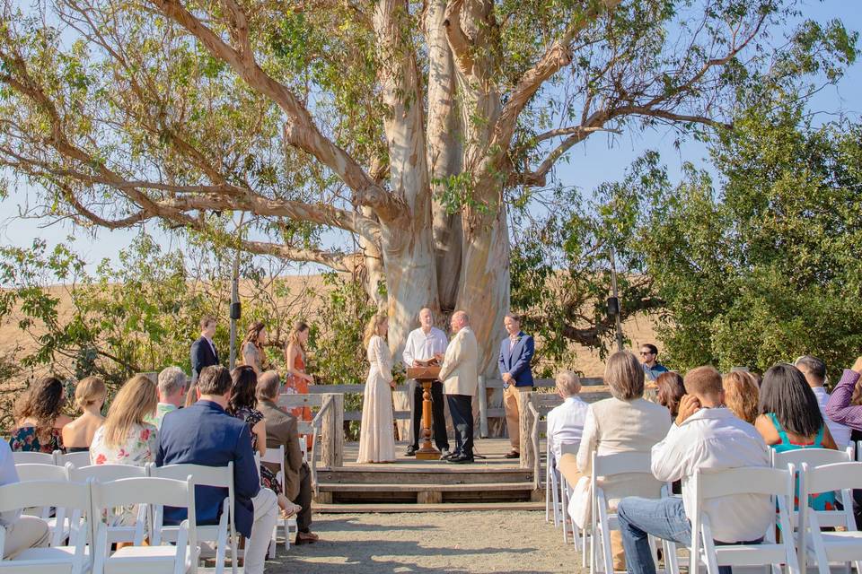 Outdoor ceremony area