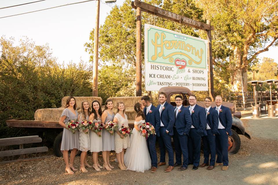 Wedding party by Harmony sign