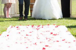 Cannon Beach Wedding Party