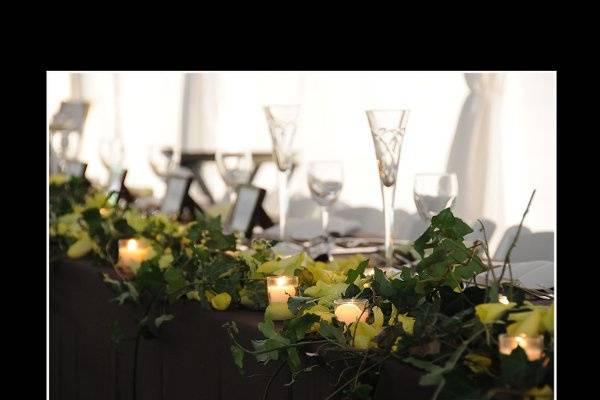 The head table at dusk.  Green ivy, rose petals & 60 votives lined the length of the table for a magical glow