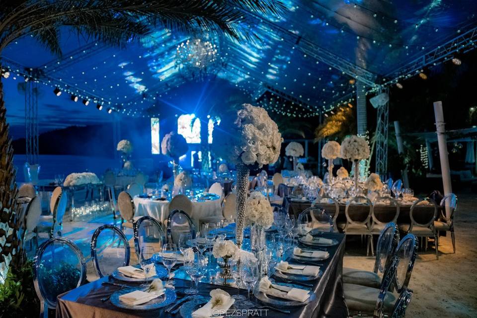 Blue theme reception