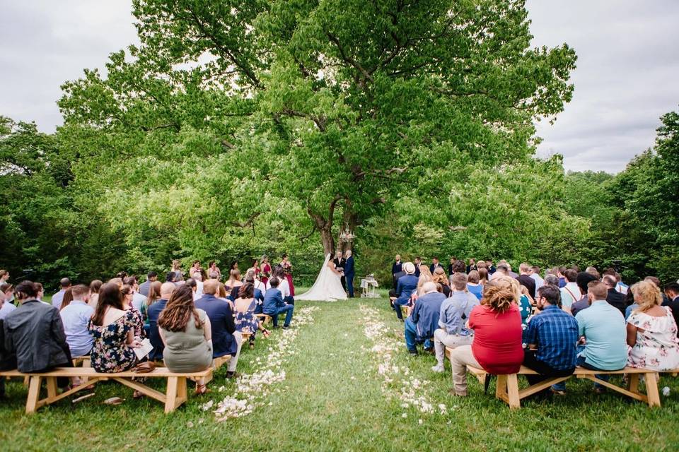 Ceremony under a tree