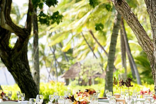 Table setup