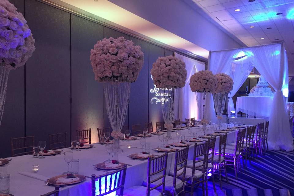 Infuse Designs Lighting & Draping Decor