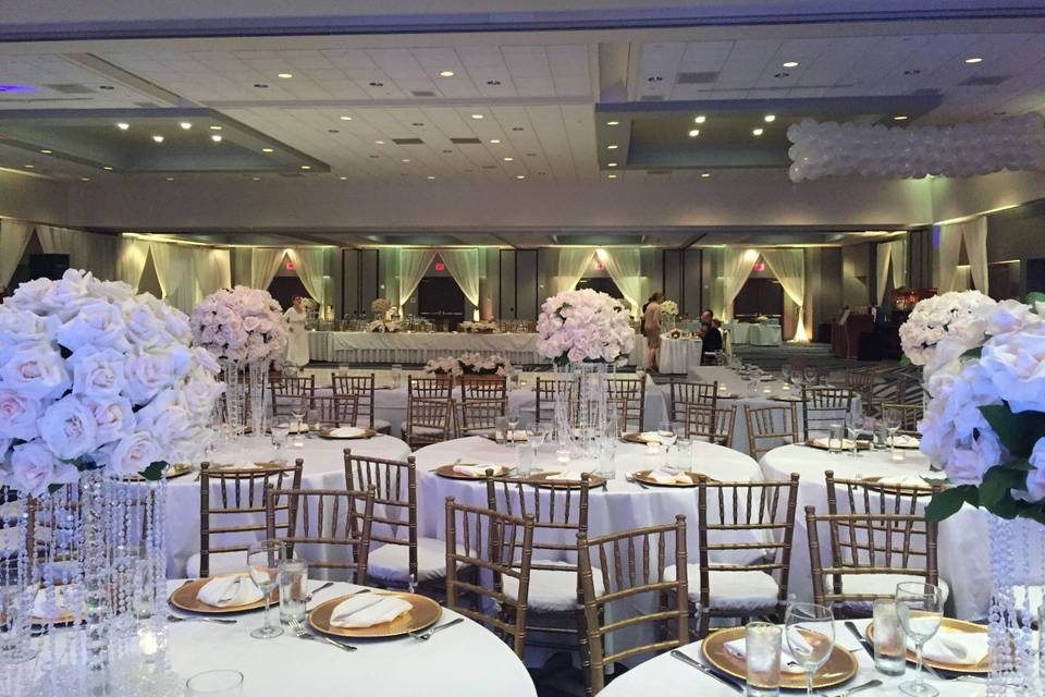 Infuse Designs Lighting & Draping Decor