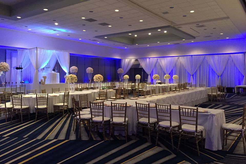 Infuse Designs Lighting & Draping Decor