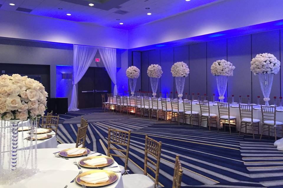 Infuse Designs Lighting & Draping Decor