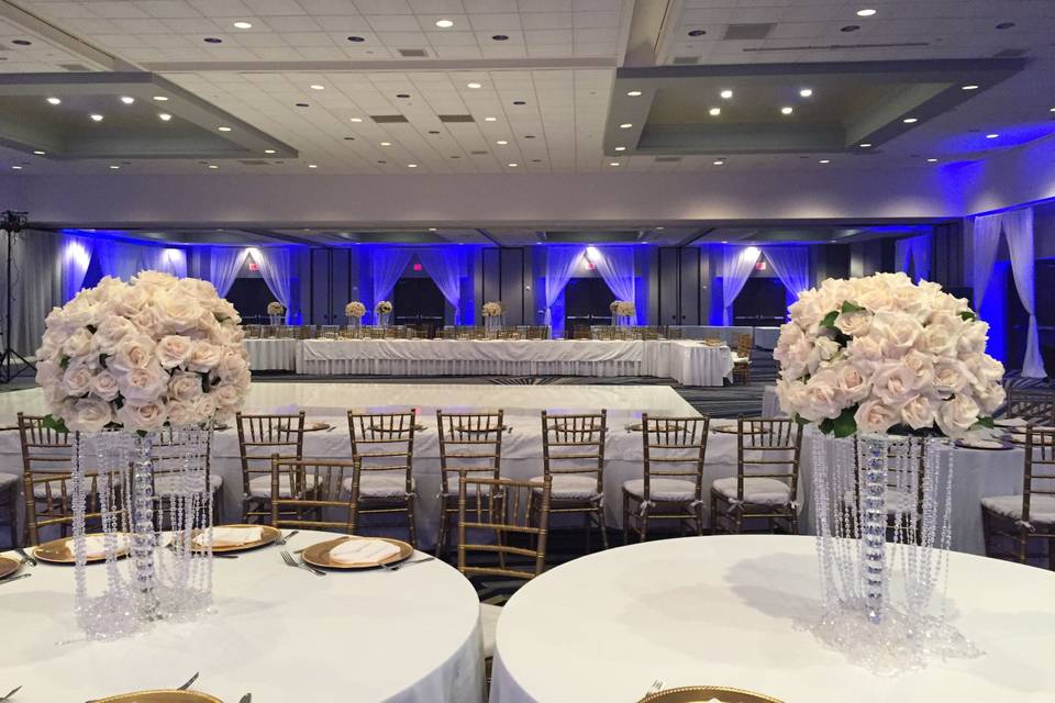 Infuse Designs Lighting & Draping Decor