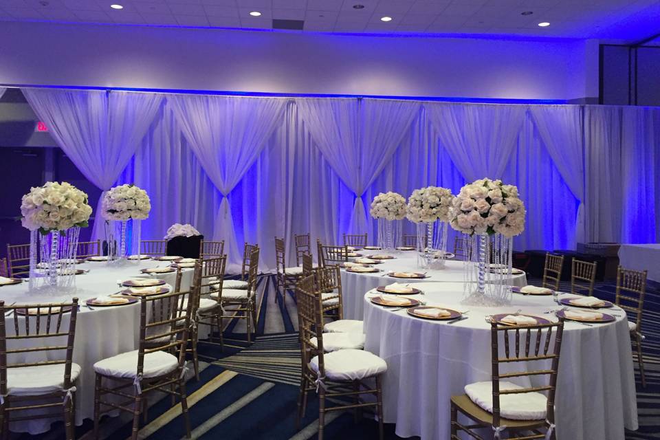 Infuse Designs Lighting & Draping Decor