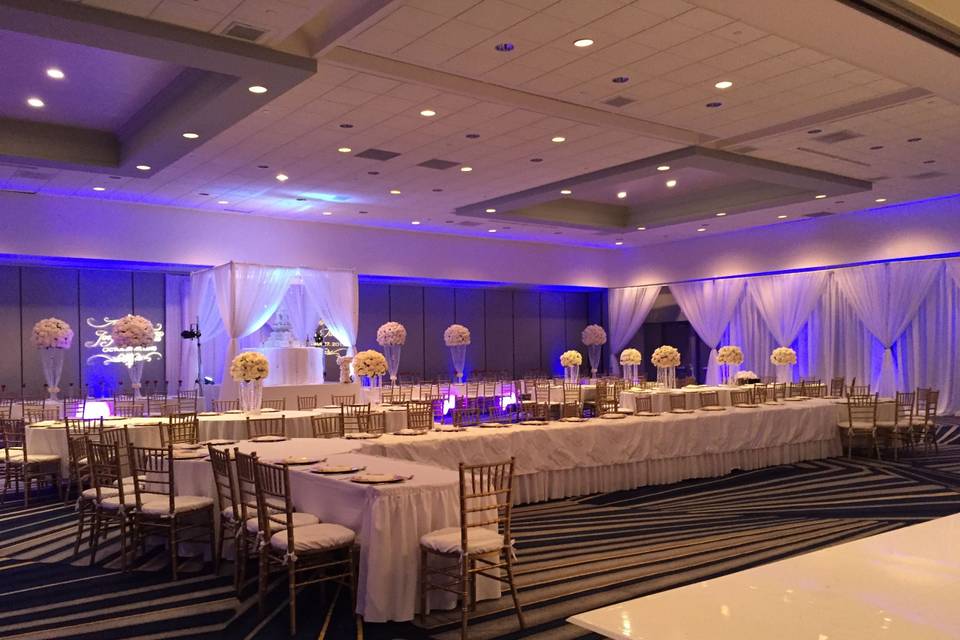 Infuse Designs Lighting & Draping Decor