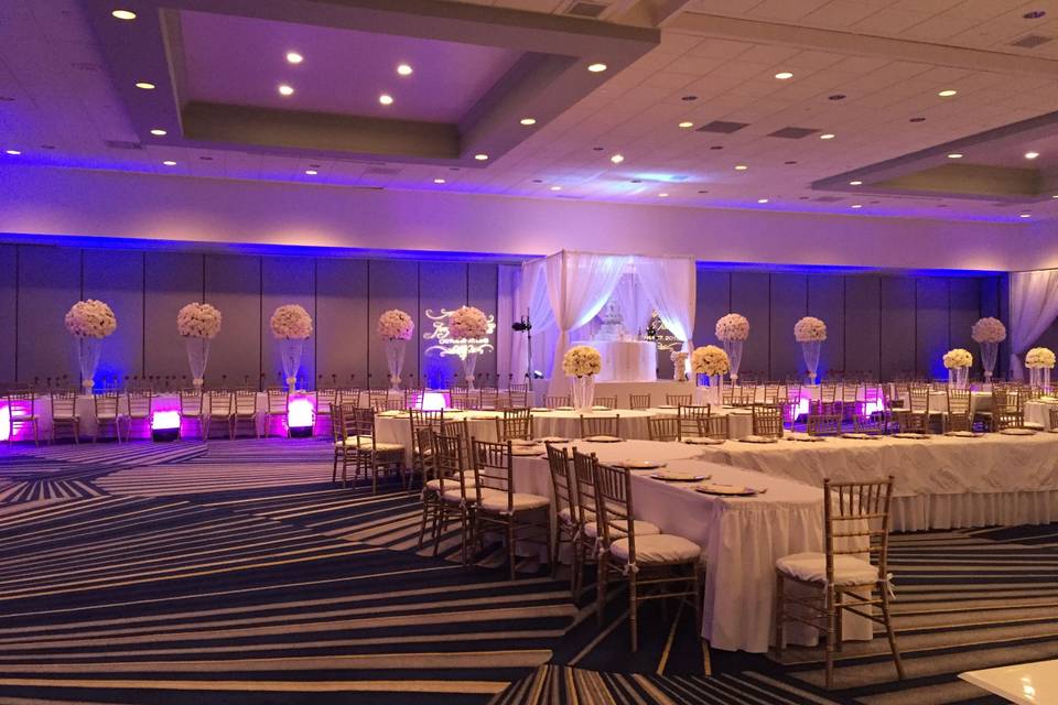 Infuse Designs Lighting & Draping Decor