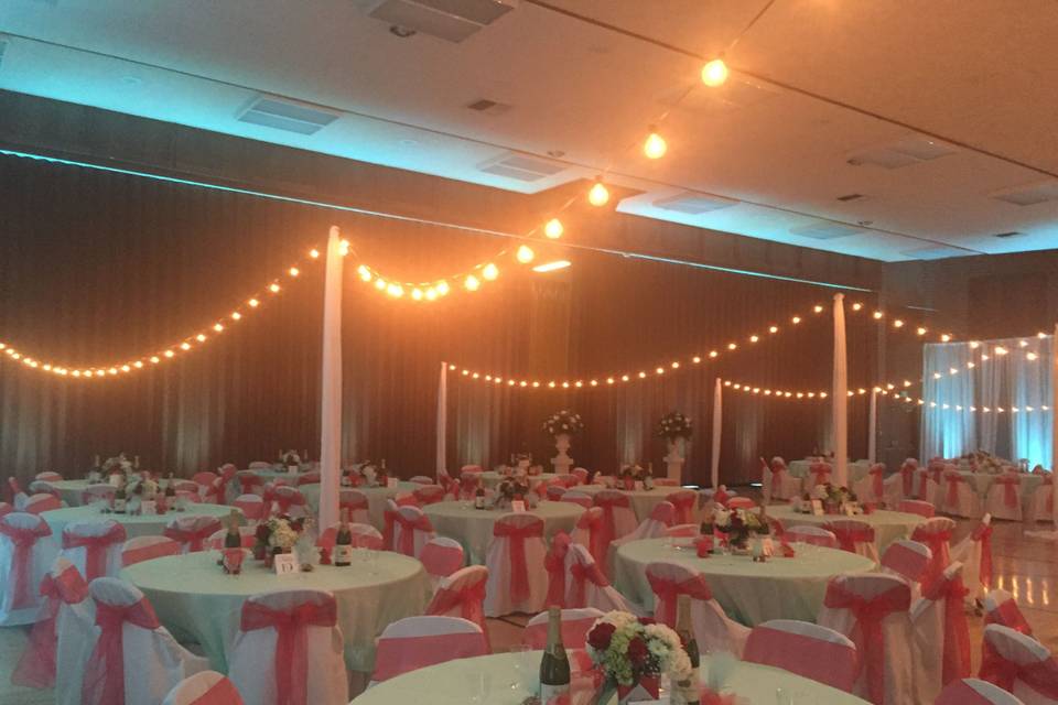 Infuse Designs Lighting & Draping Decor