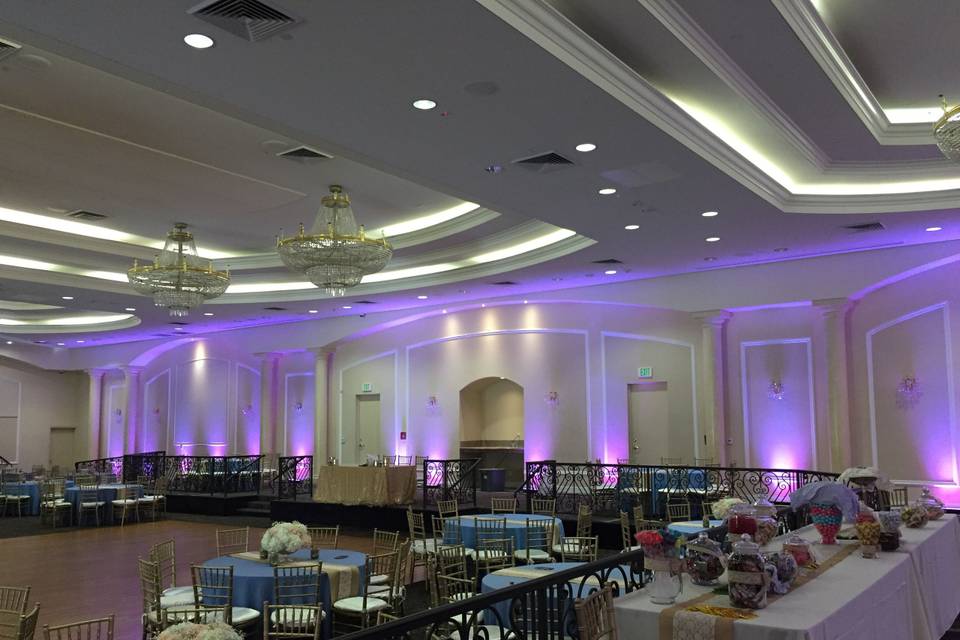 Infuse Designs Lighting & Draping Decor