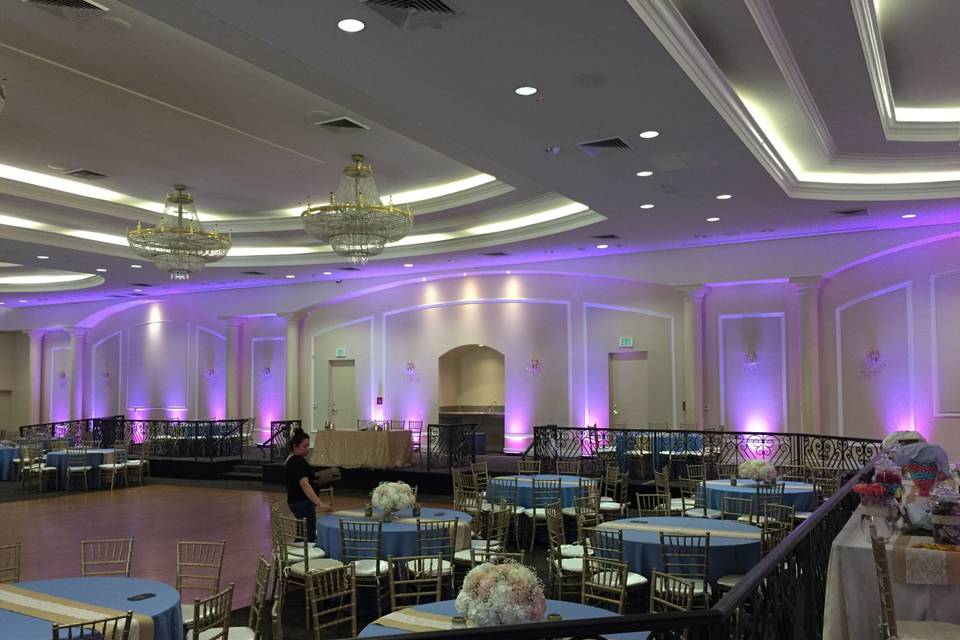 Infuse Designs Lighting & Draping Decor