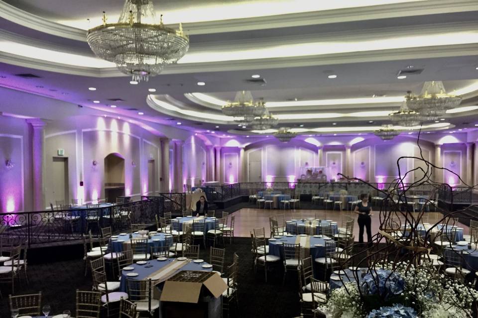 Infuse Designs Lighting & Draping Decor