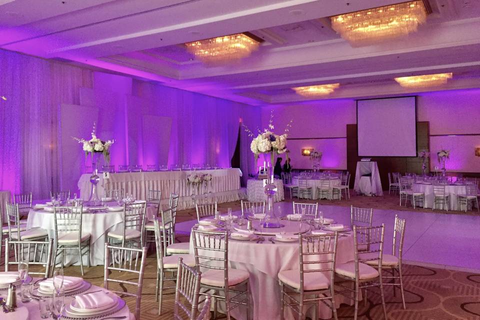 Infuse Designs Lighting & Draping Decor