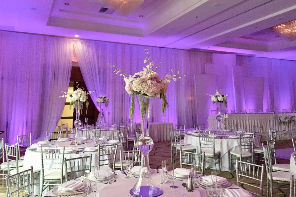 Infuse Designs Lighting & Draping Decor