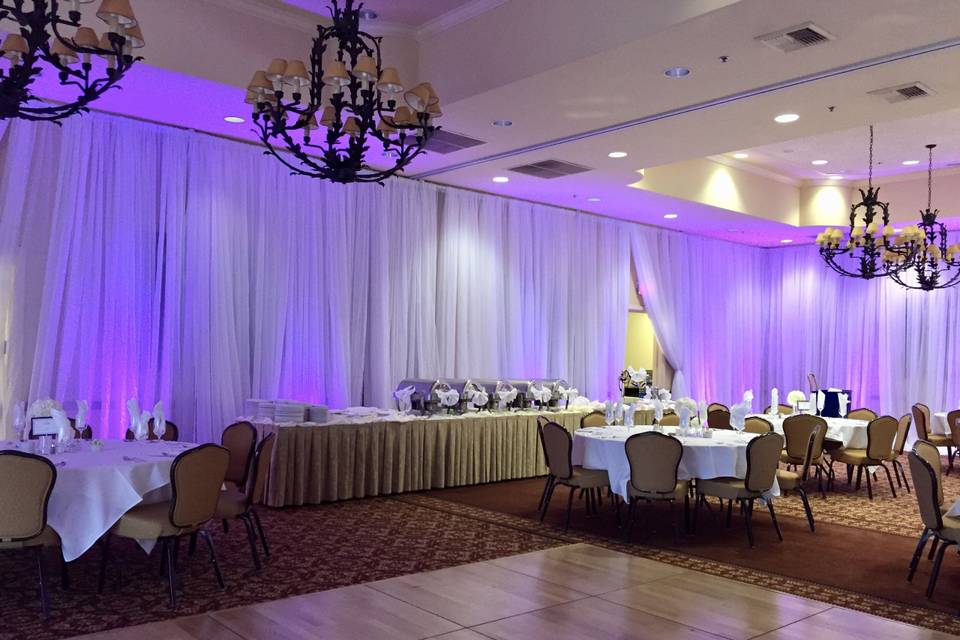 Infuse Designs Lighting & Draping Decor