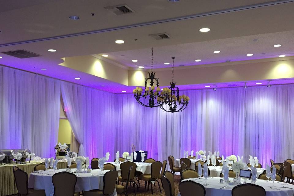 Infuse Designs Lighting & Draping Decor