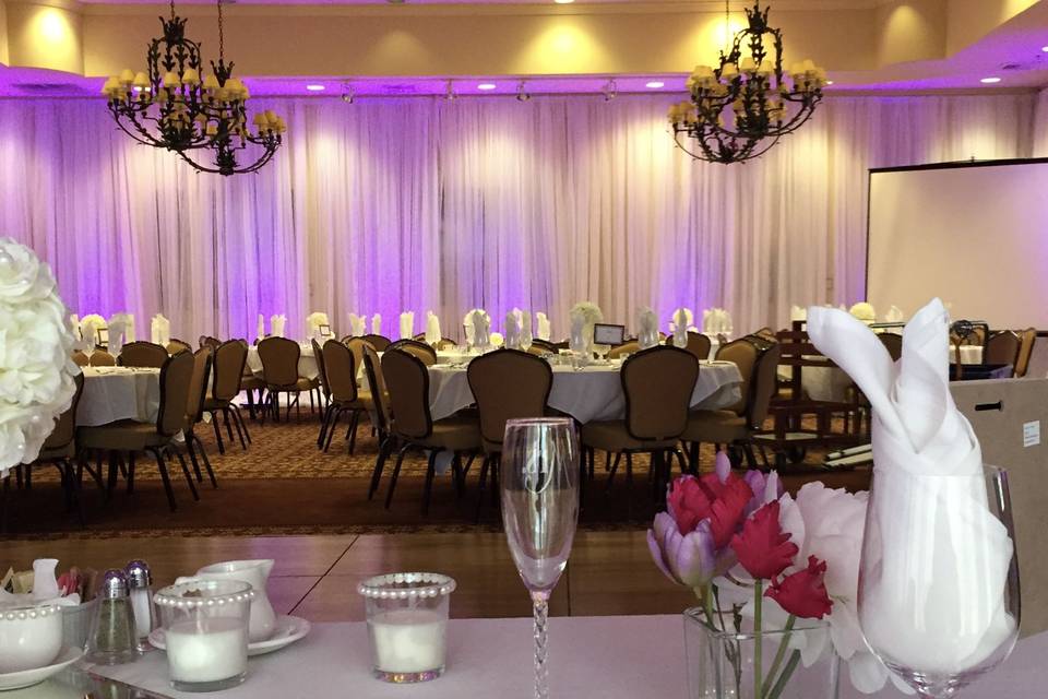 Infuse Designs Lighting & Draping Decor