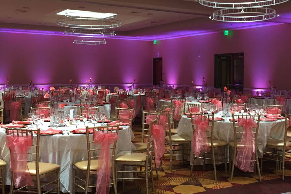 Infuse Designs Lighting & Draping Decor