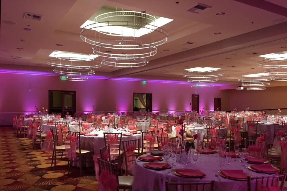 Infuse Designs Lighting & Draping Decor