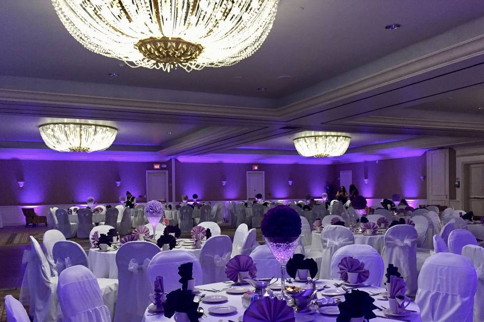 Infuse Designs Lighting & Draping Decor