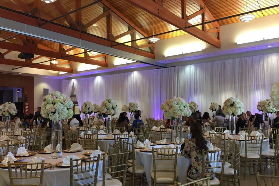 Infuse Designs Lighting & Draping Decor