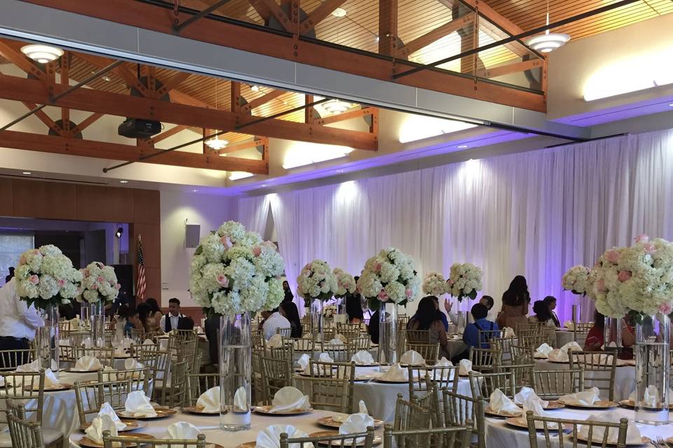 Infuse Designs Lighting & Draping Decor