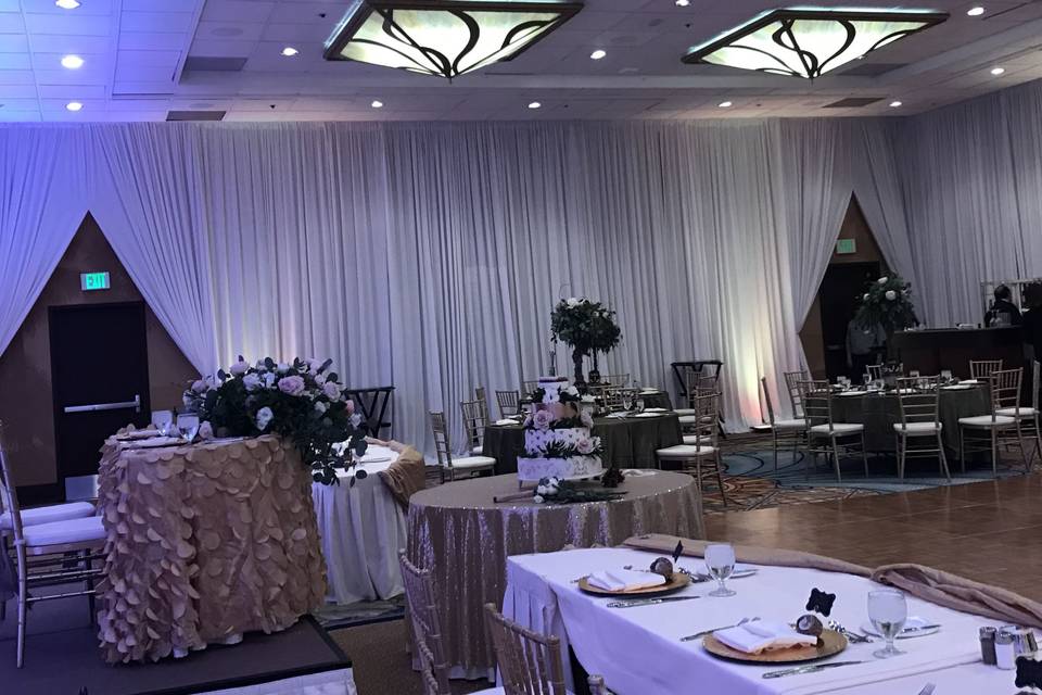 Infuse Designs Lighting & Draping Decor