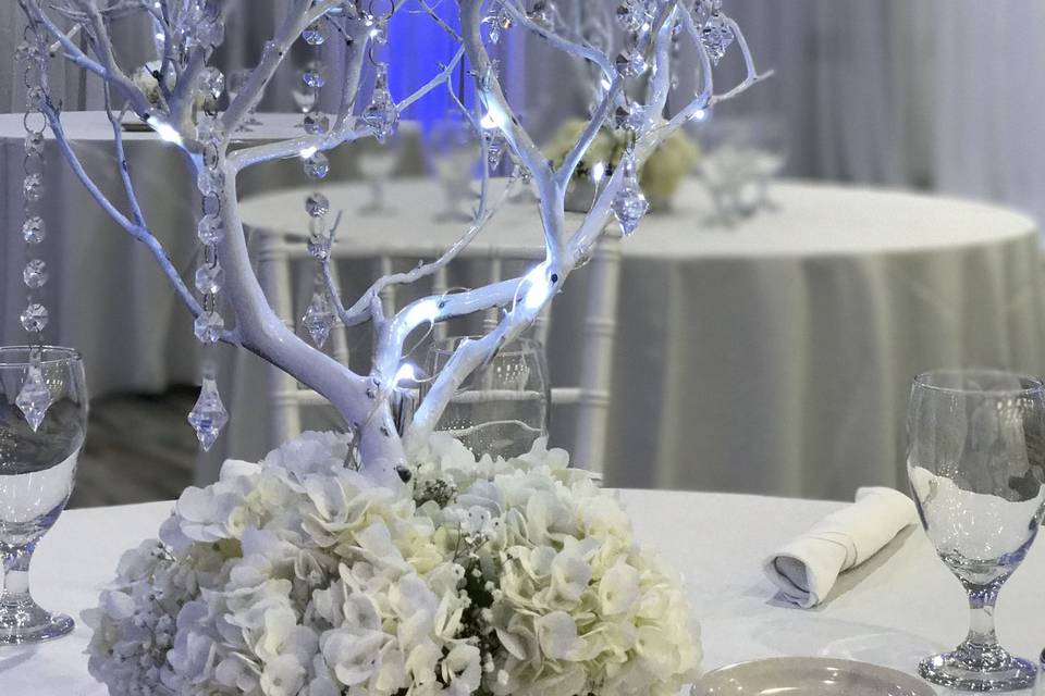 Infuse Designs Lighting & Draping Decor