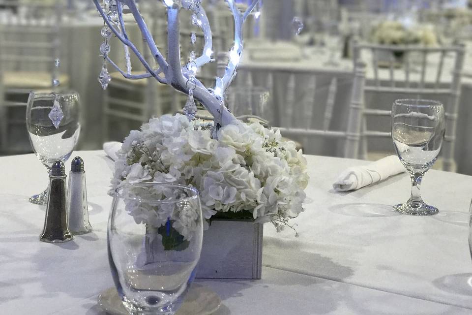 Infuse Designs Lighting & Draping Decor