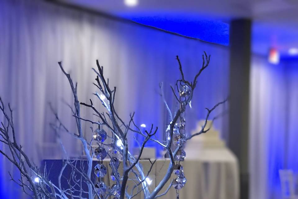 Infuse Designs Lighting & Draping Decor