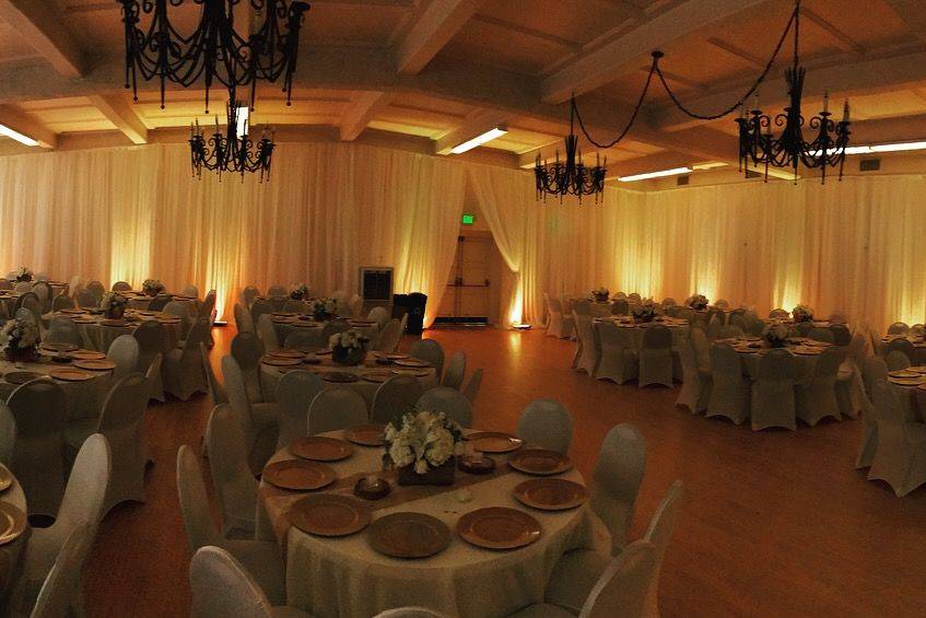 Infuse Designs Lighting & Draping Decor