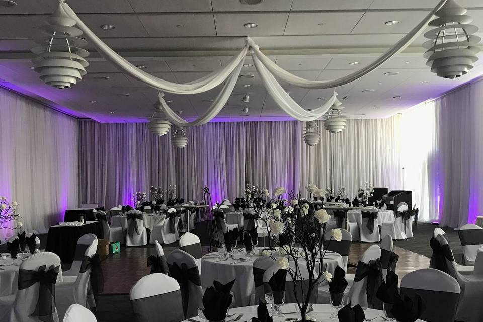 Infuse Designs Lighting & Draping Decor