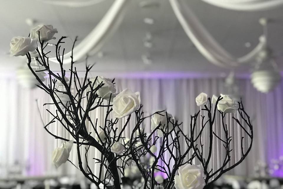 Infuse Designs Lighting & Draping Decor