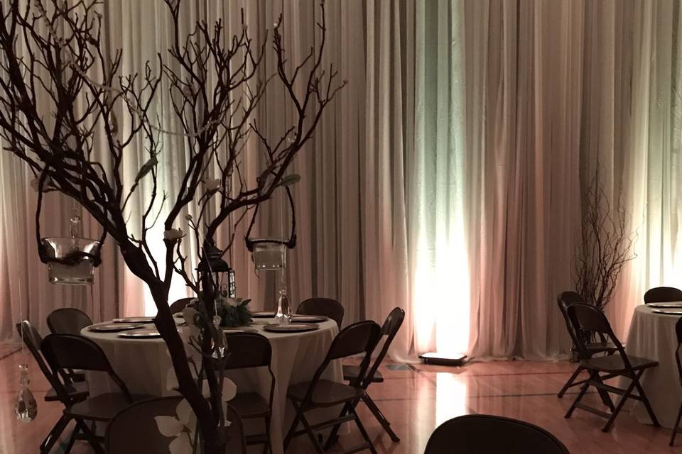 Infuse Designs Lighting & Draping Decor