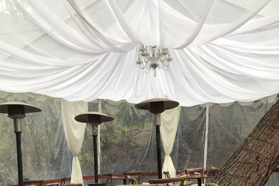 Infuse Designs Lighting & Draping Decor