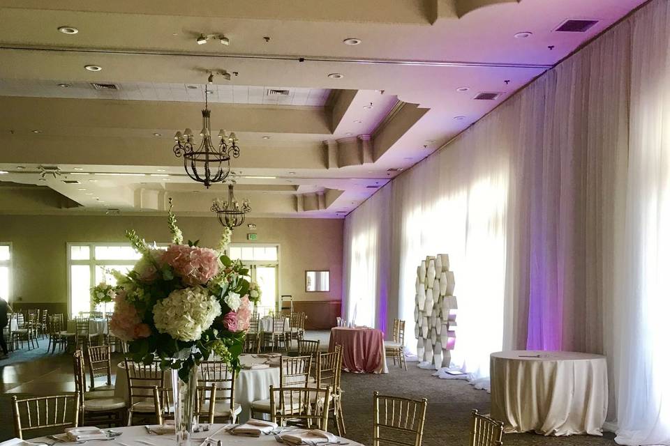 Infuse Designs Lighting & Draping Decor